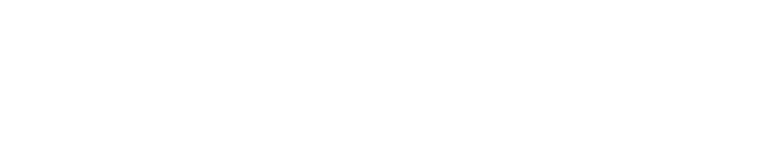 Partner Logo 6