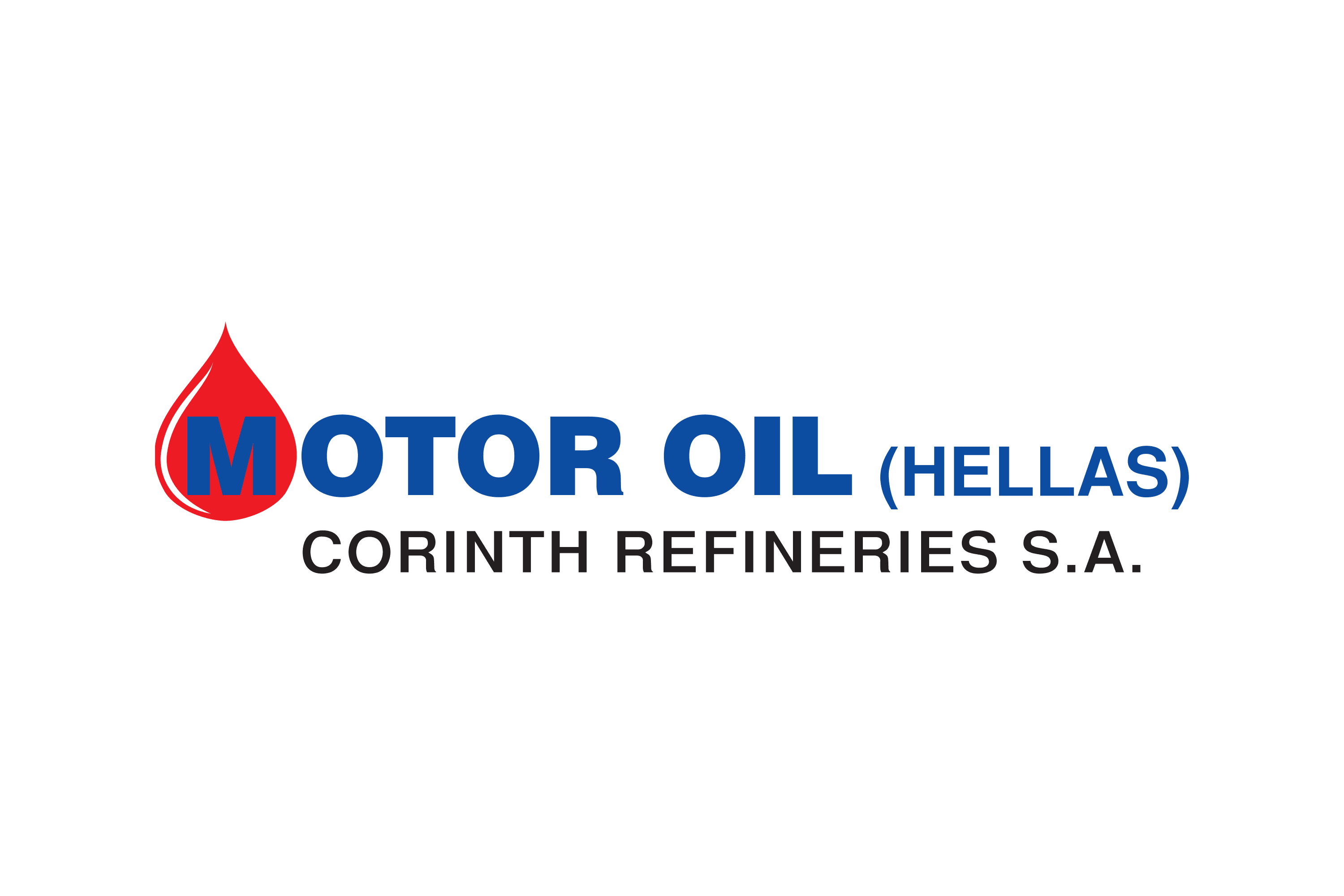 Partner Logo 38